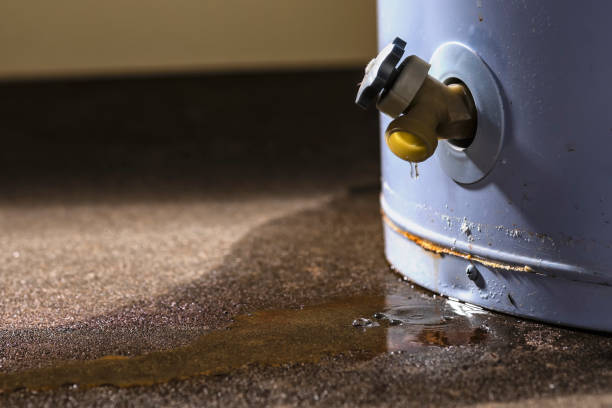 Best Fire Damage Restoration  in Madera, CA