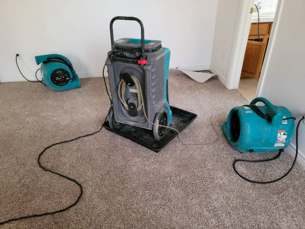 Best Professional water damage repair  in Madera, CA