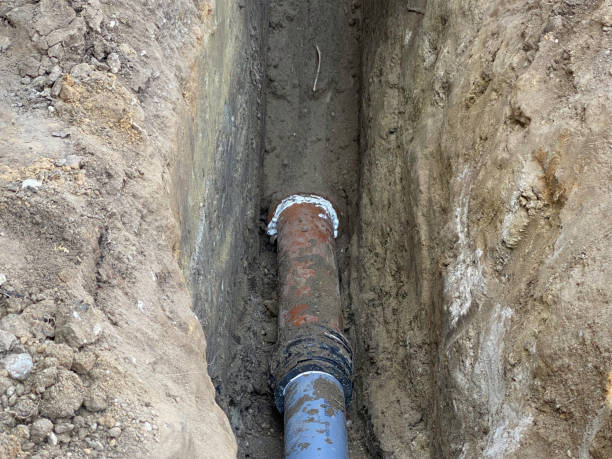 Best Flood restoration services  in Madera, CA