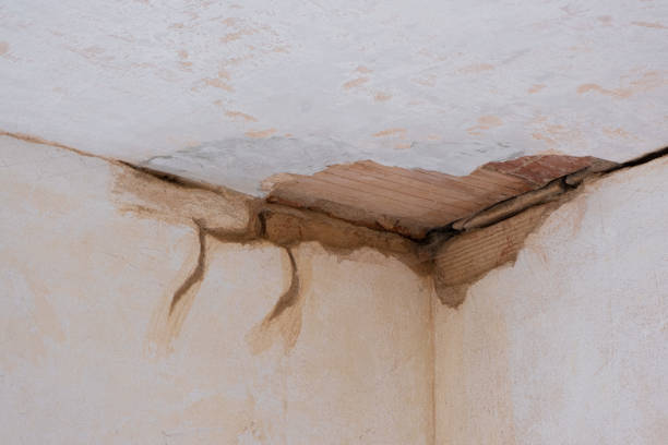 Best Water damage restoration near me  in Madera, CA