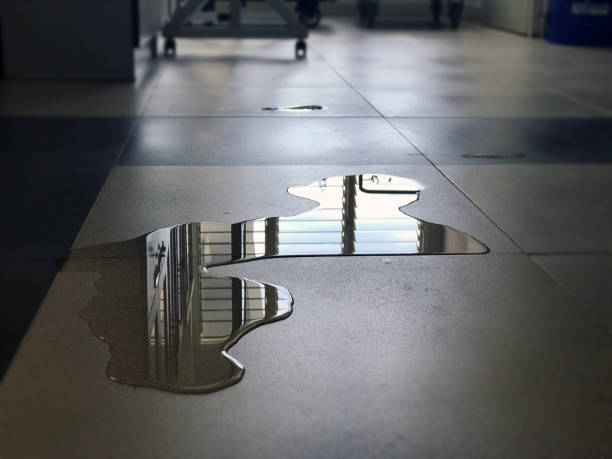 Best Local water damage restoration  in Madera, CA
