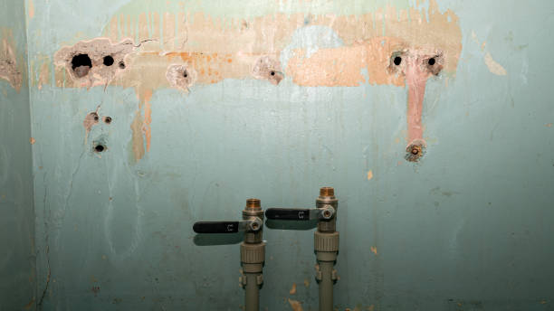 Best Water damage restoration near me  in Madera, CA